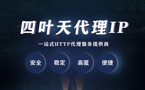 【安顺代理IP】代理ip客户端使用教程